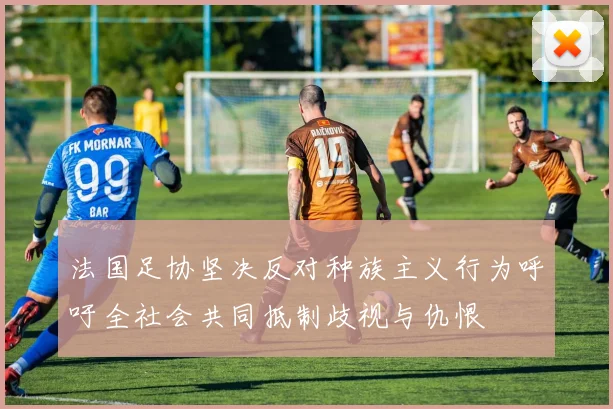 法国足协坚决反对种族主义行为呼吁全社会共同抵制歧视与仇恨